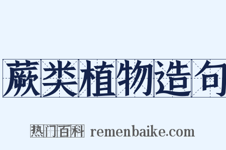 蕨类植物造句是什么意思的图片